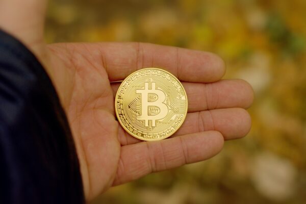 From Bitcoin to Pepe: Unveiling the Wild World of Crypto Search Trends