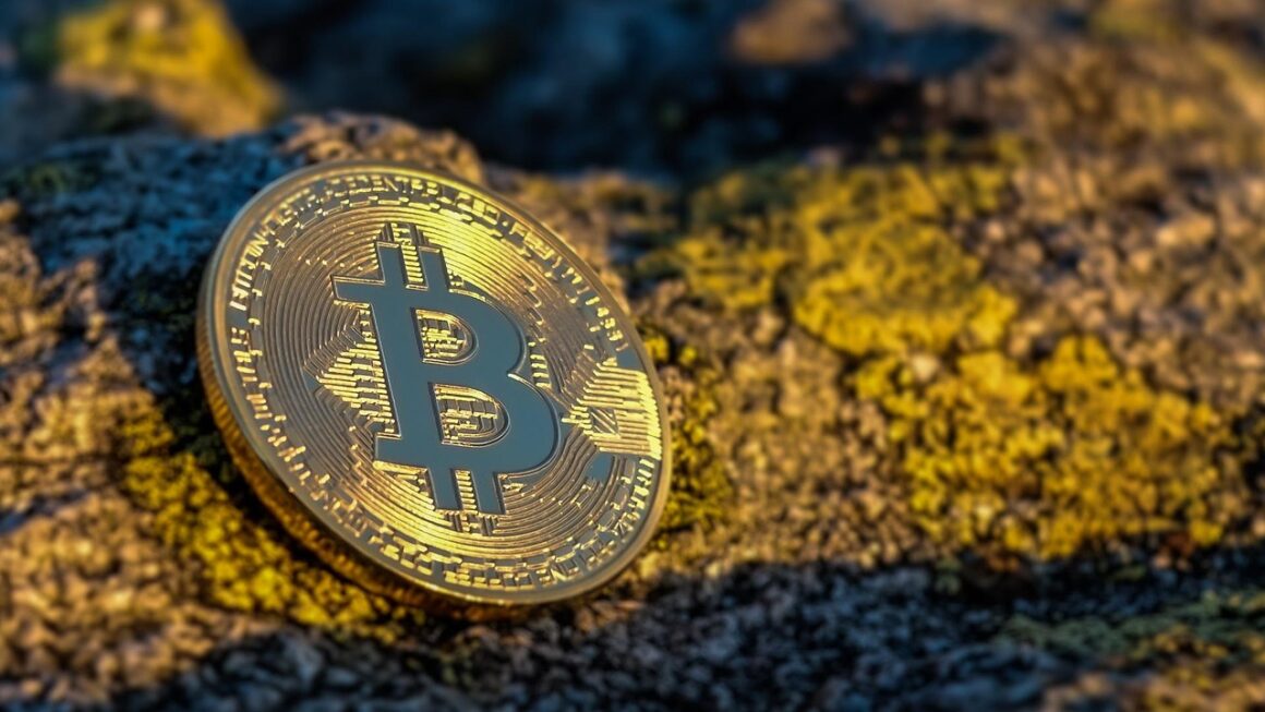 Why Dogecoin and Shiba Inu Dominate Online Searches