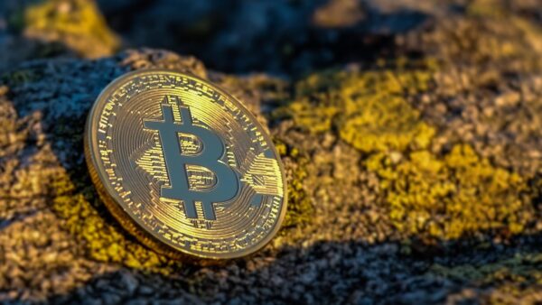 Why Dogecoin and Shiba Inu Dominate Online Searches